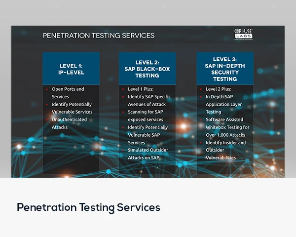 Penetration-Testing-Services.jpg