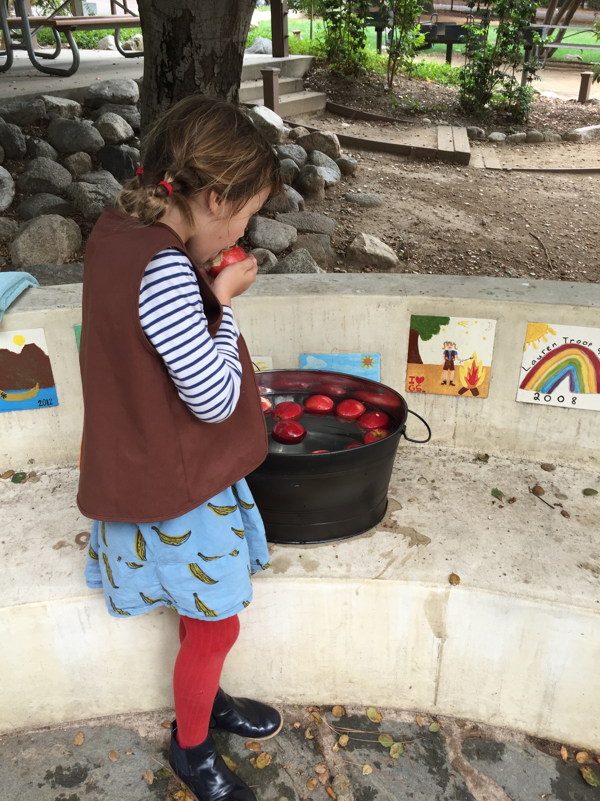 Bridging to Brownies