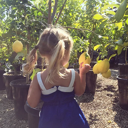 an afternoon at the nursery