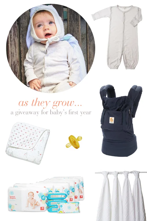 a giveaway for baby's first year - closed