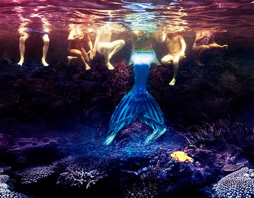 last night i swam with a mermaid