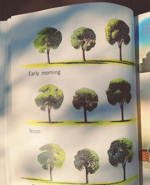 wandering down a quiet path