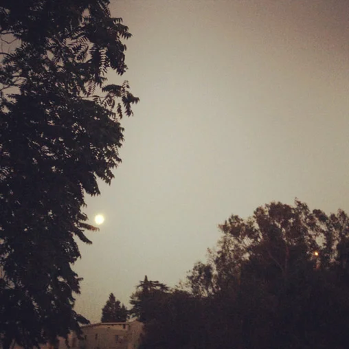 a new baby for a new moon