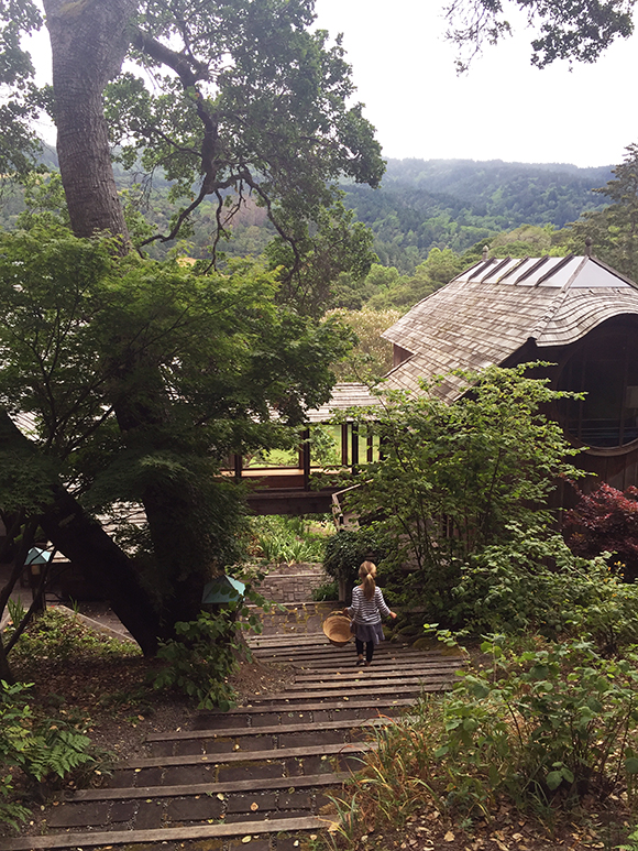 Walking from The Hill House underneath The Bridge House to the meadow