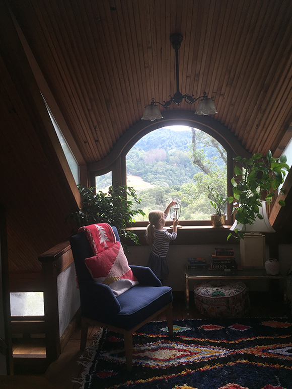 Overlooking the Shire