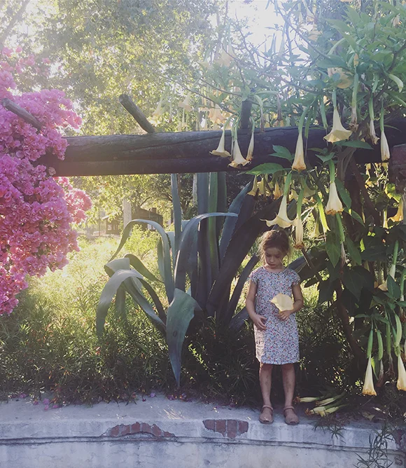 Midsummer's Night Dream