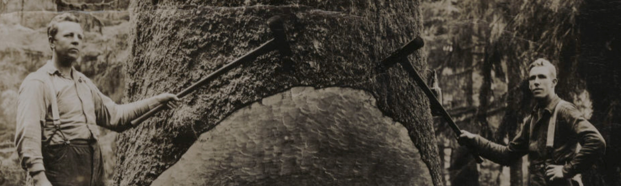 Header_V1.1.jpg