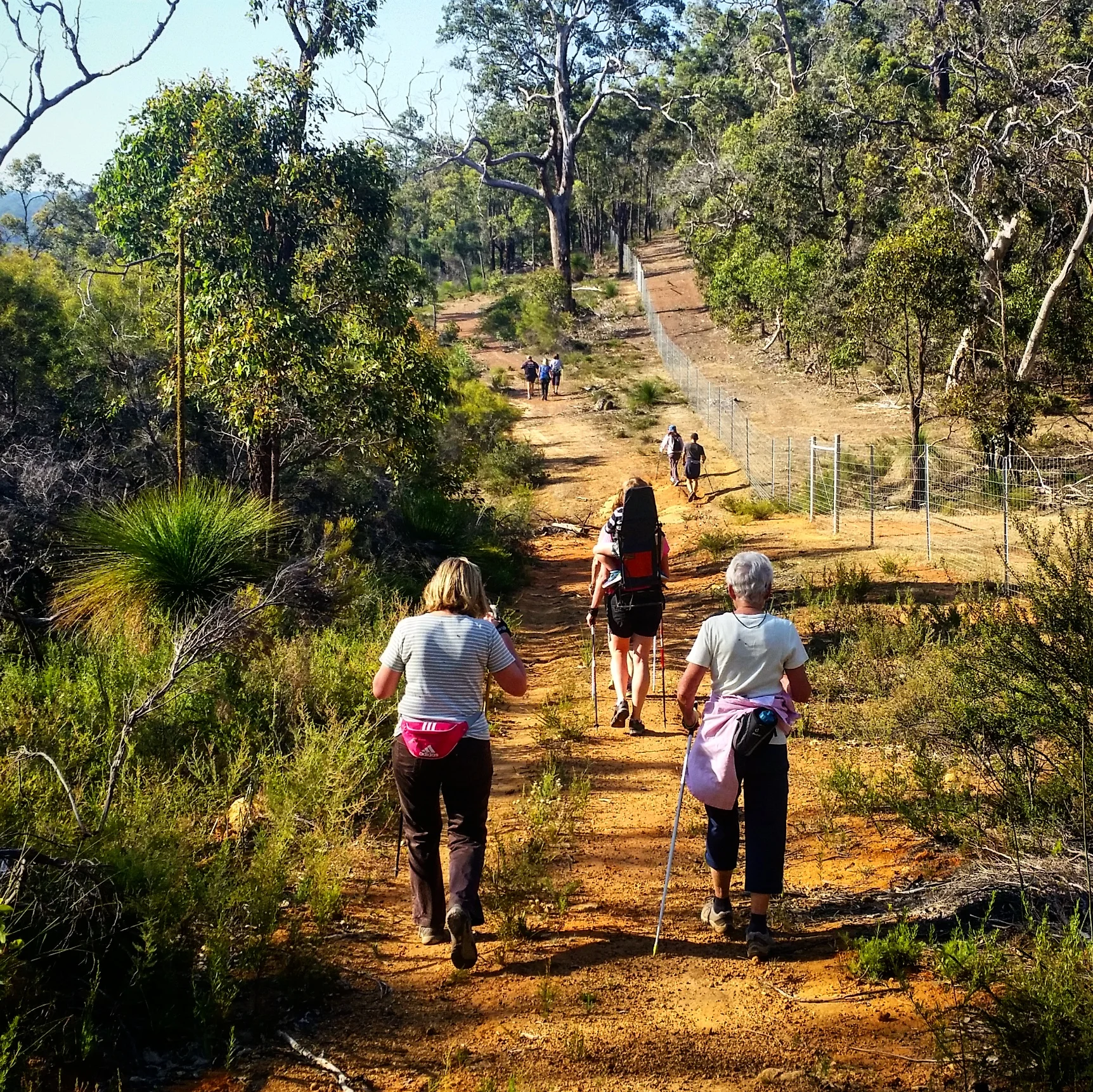 Monday Fitness walk