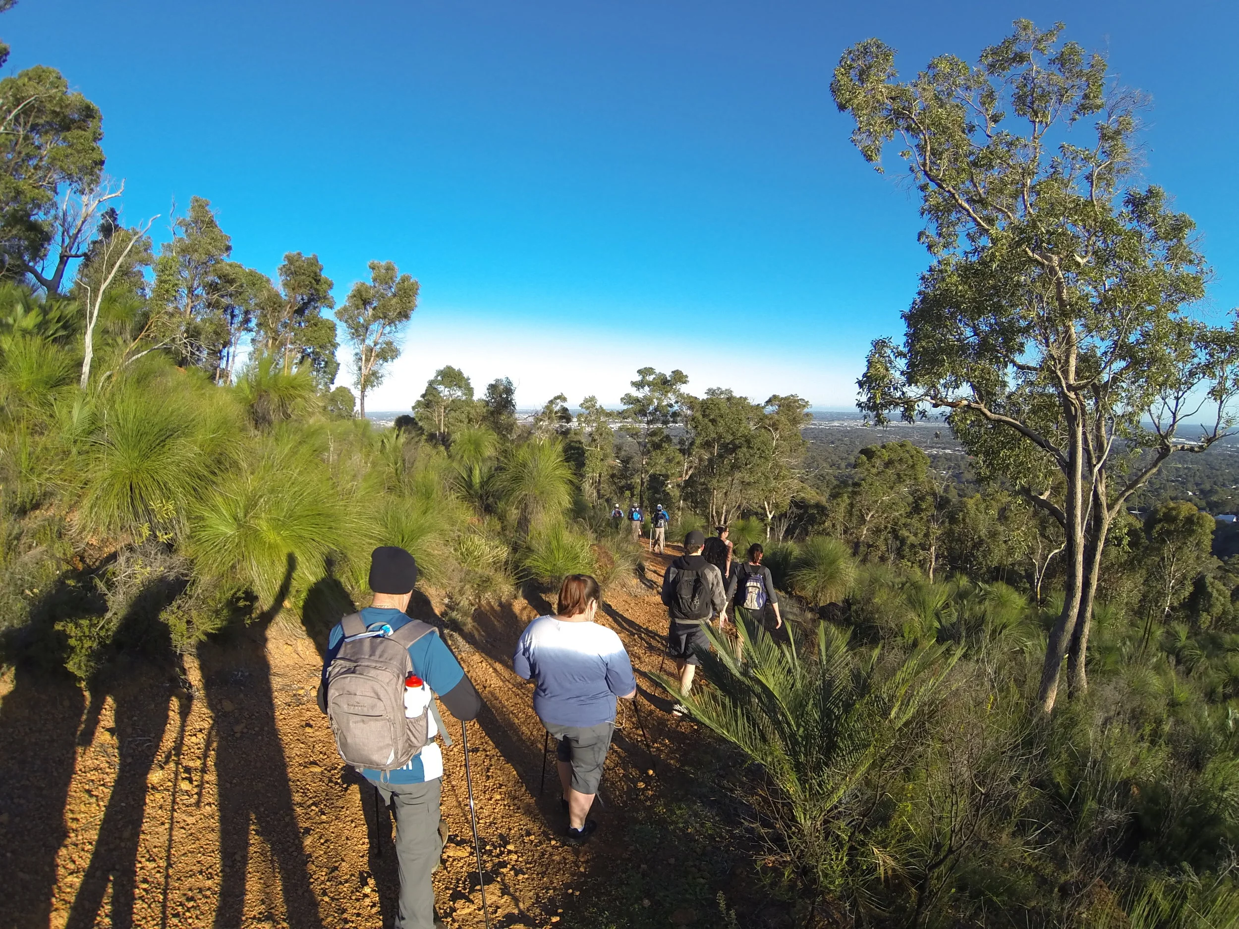 Saturday Heart Foundation Nordic walk