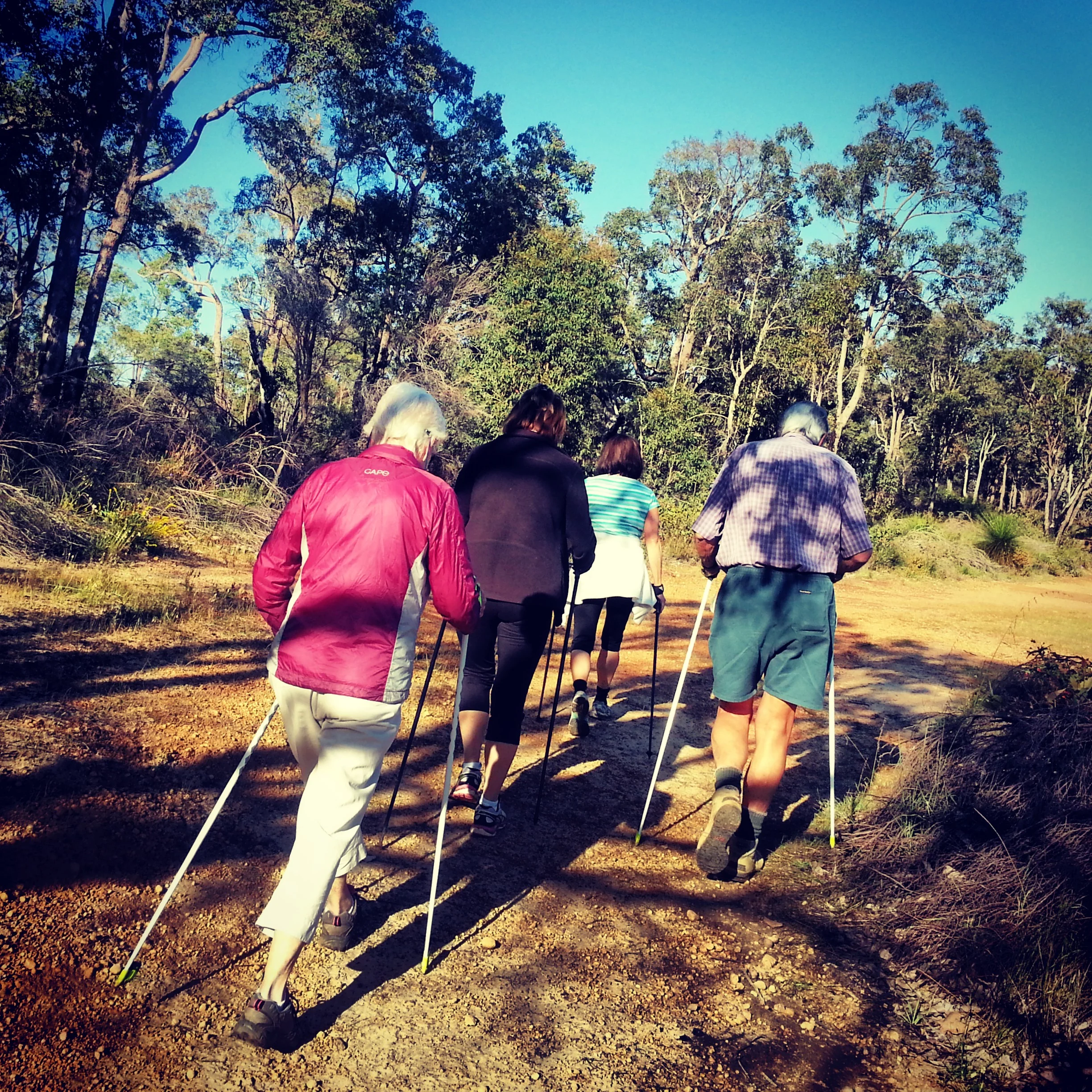 Seniors Nordic walking