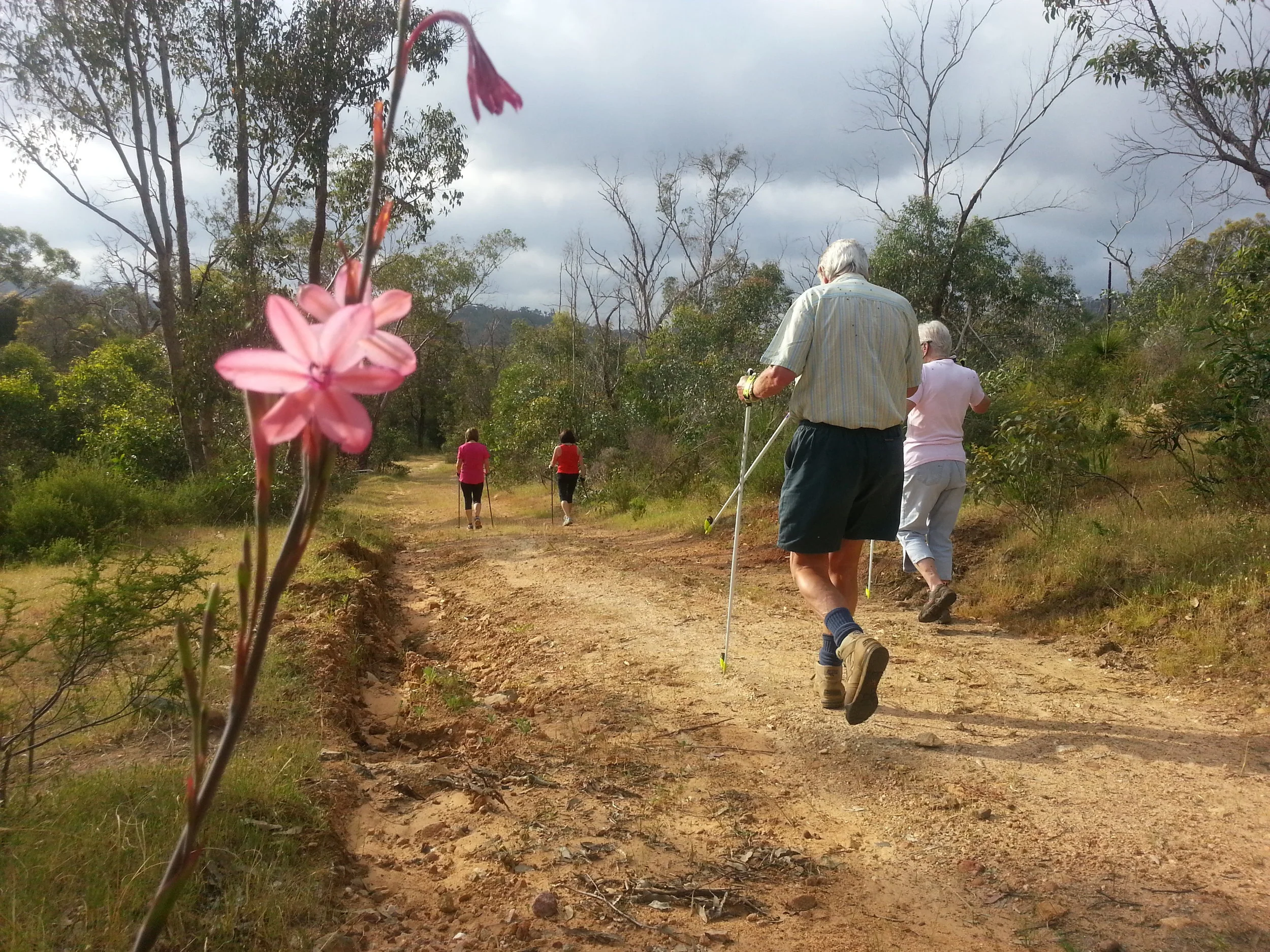 Tuesday Nordic walk/55s +