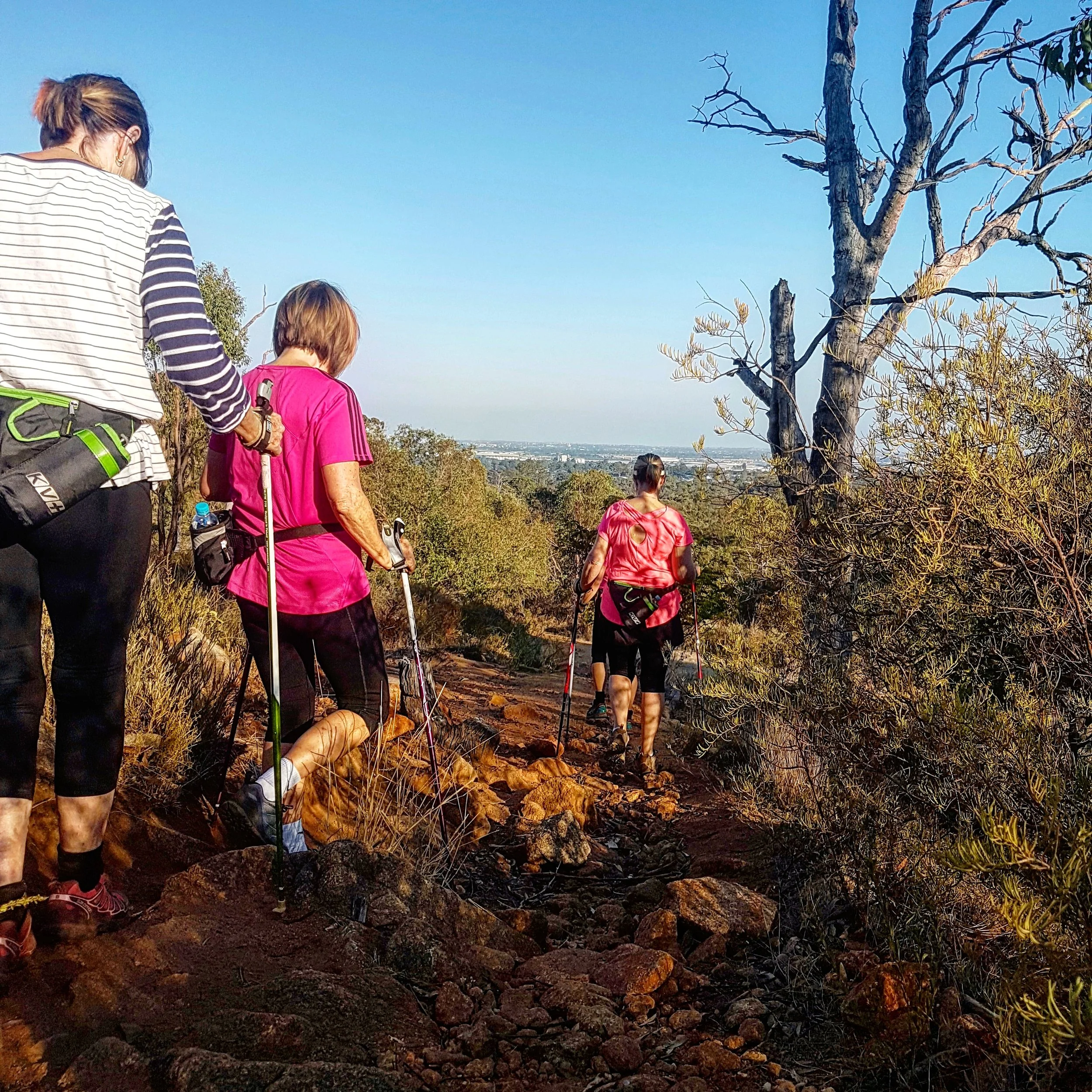 Vic Park over 55s Nordic walking