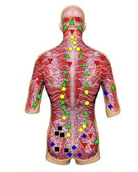 After Scan