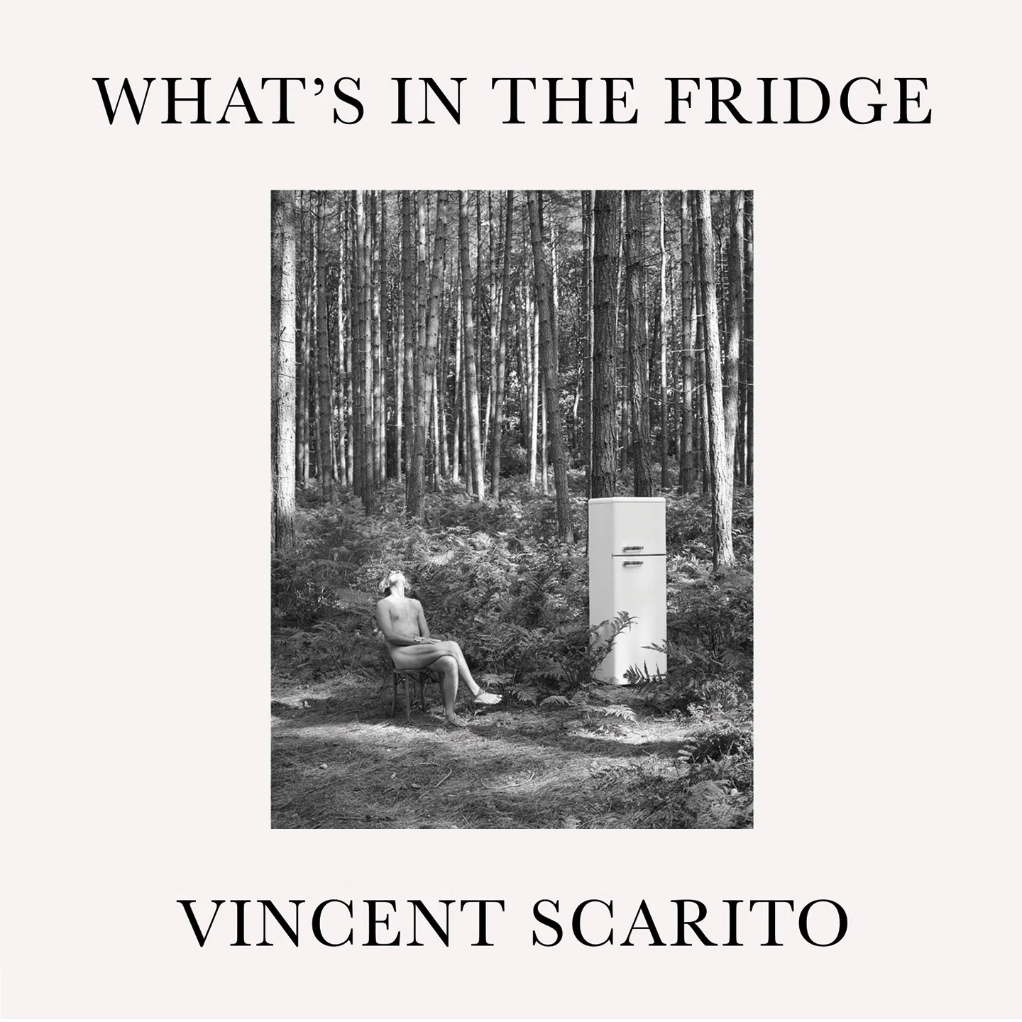 itunes_cover_vincentscarito-1440x1440_final.jpg