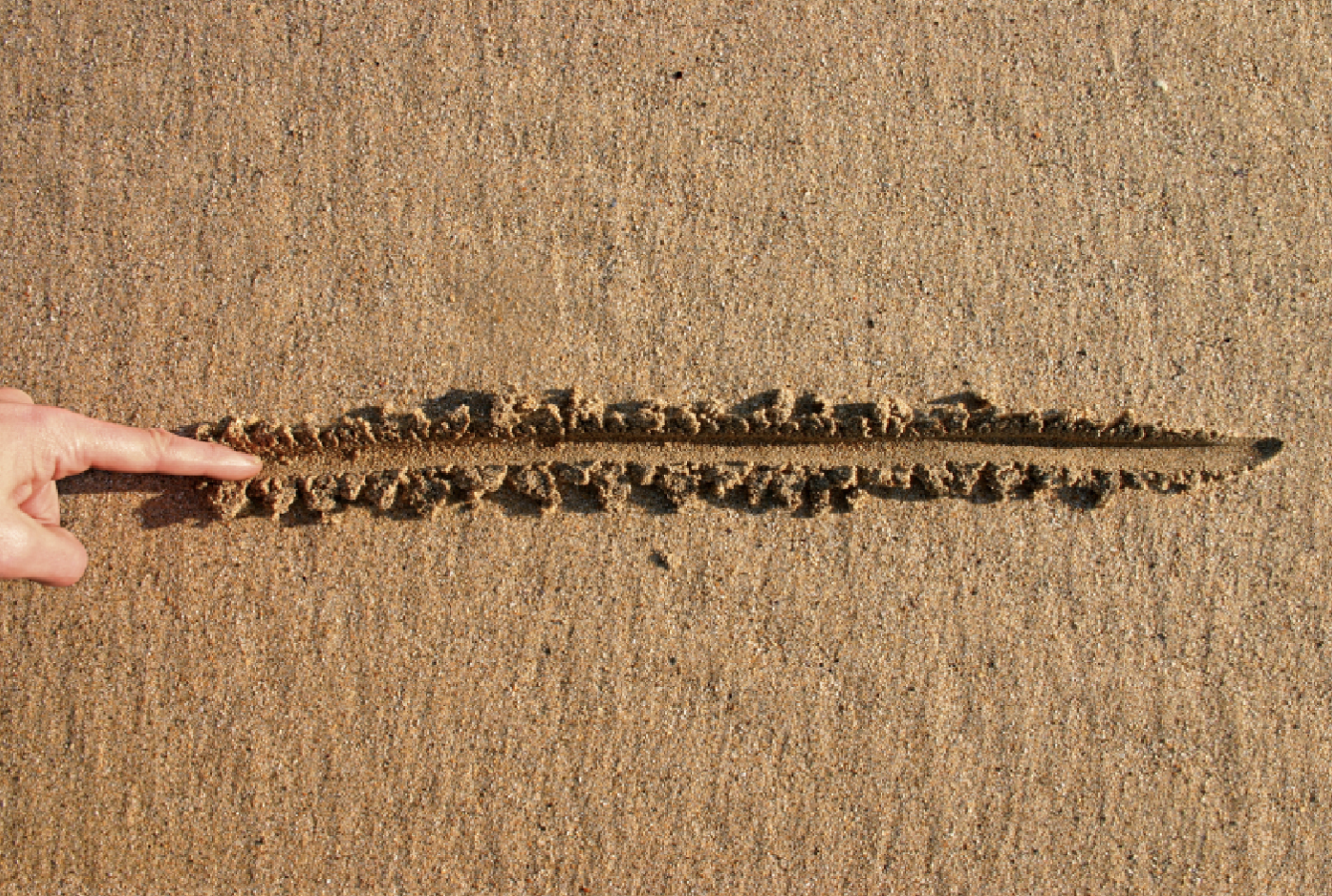 Draw your line in the sand and stick to it!