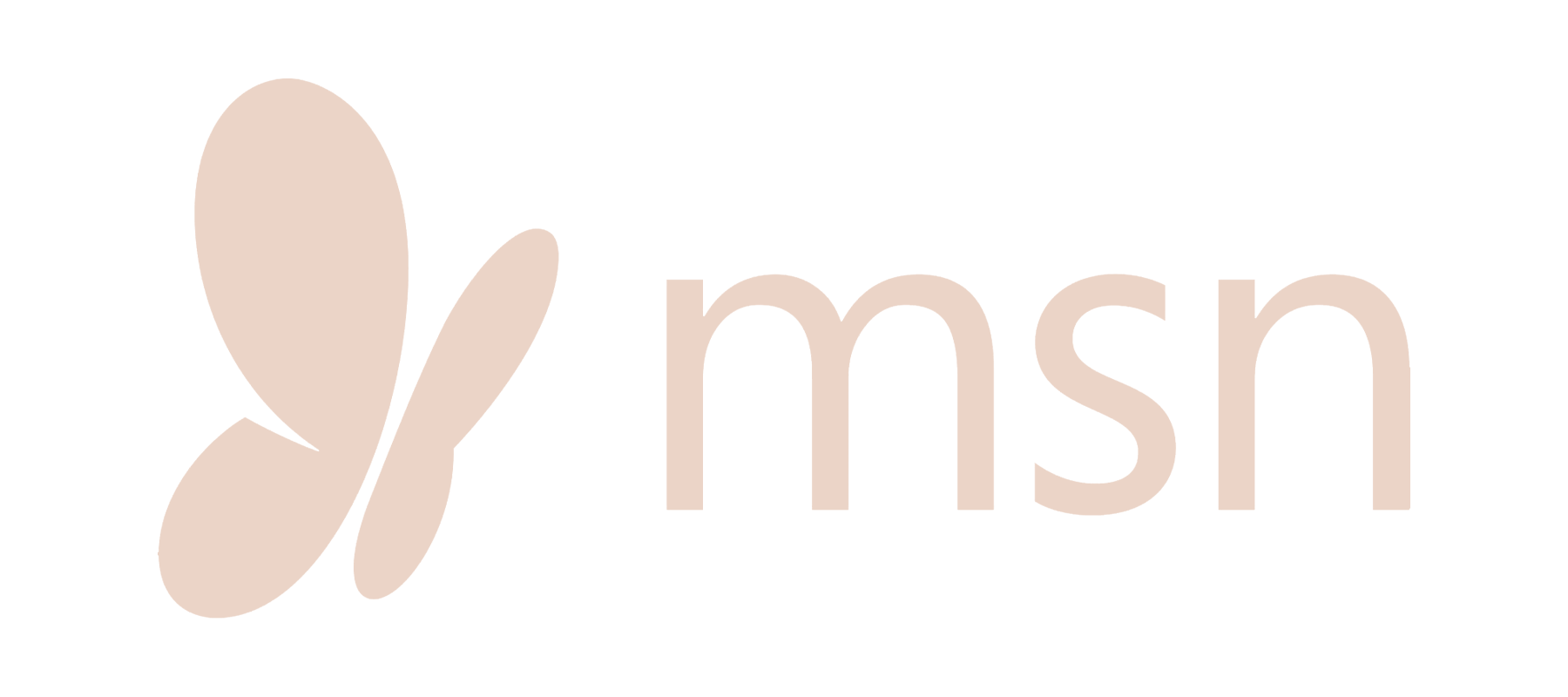 MSN.png