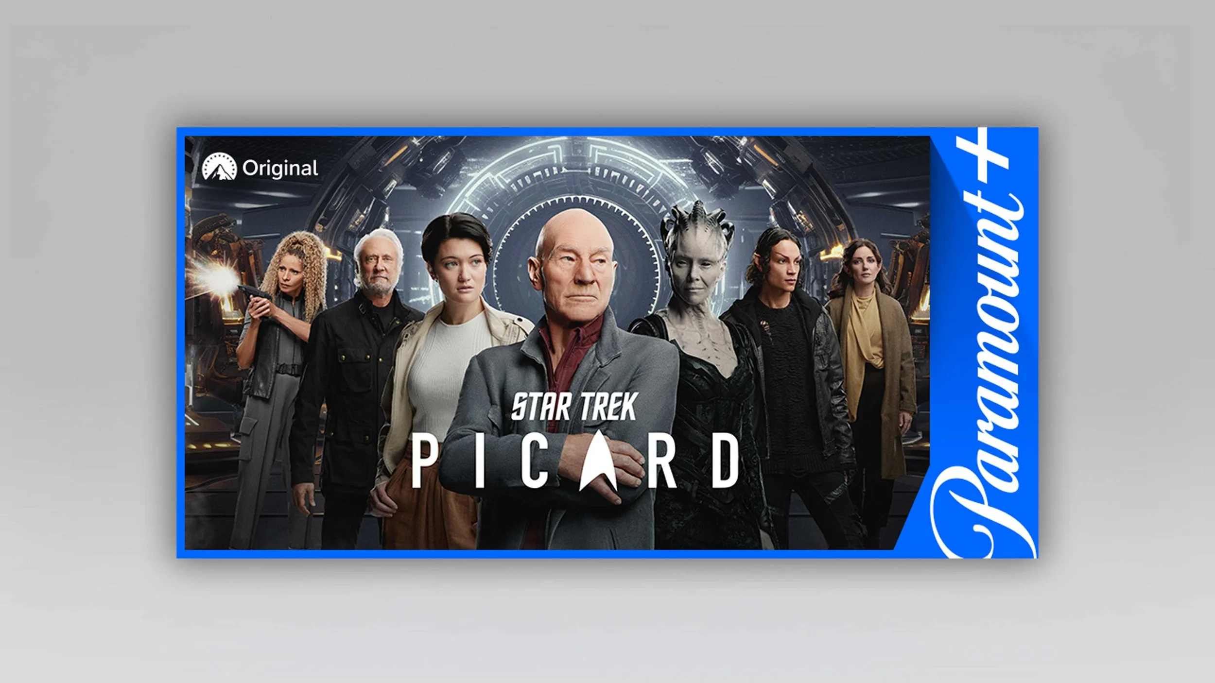   Star Trek: Picard  on  Paramount+  display banner advertisement 