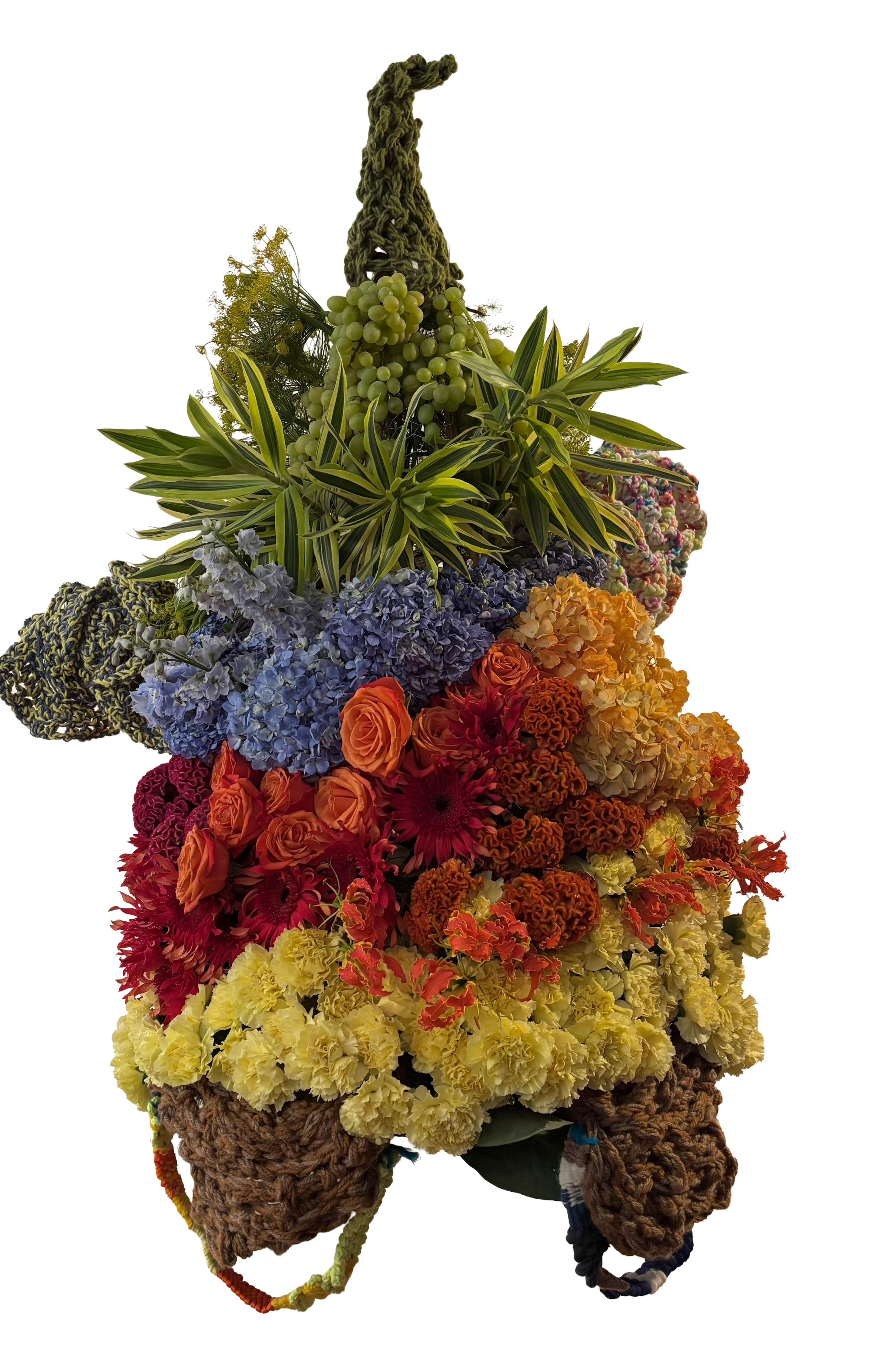 VANITAS POP , constelación imaginaria