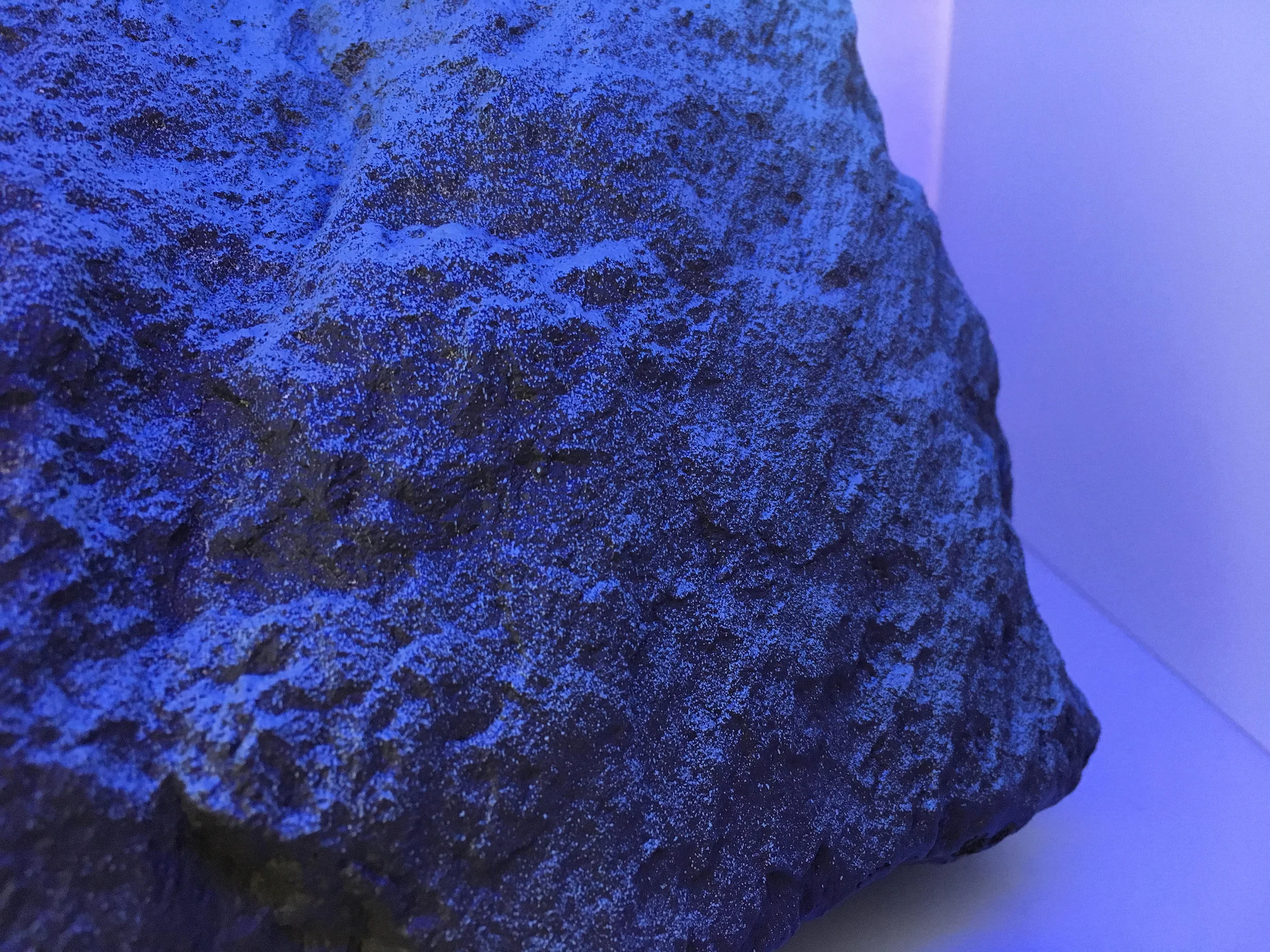 YKinvite1.jpg