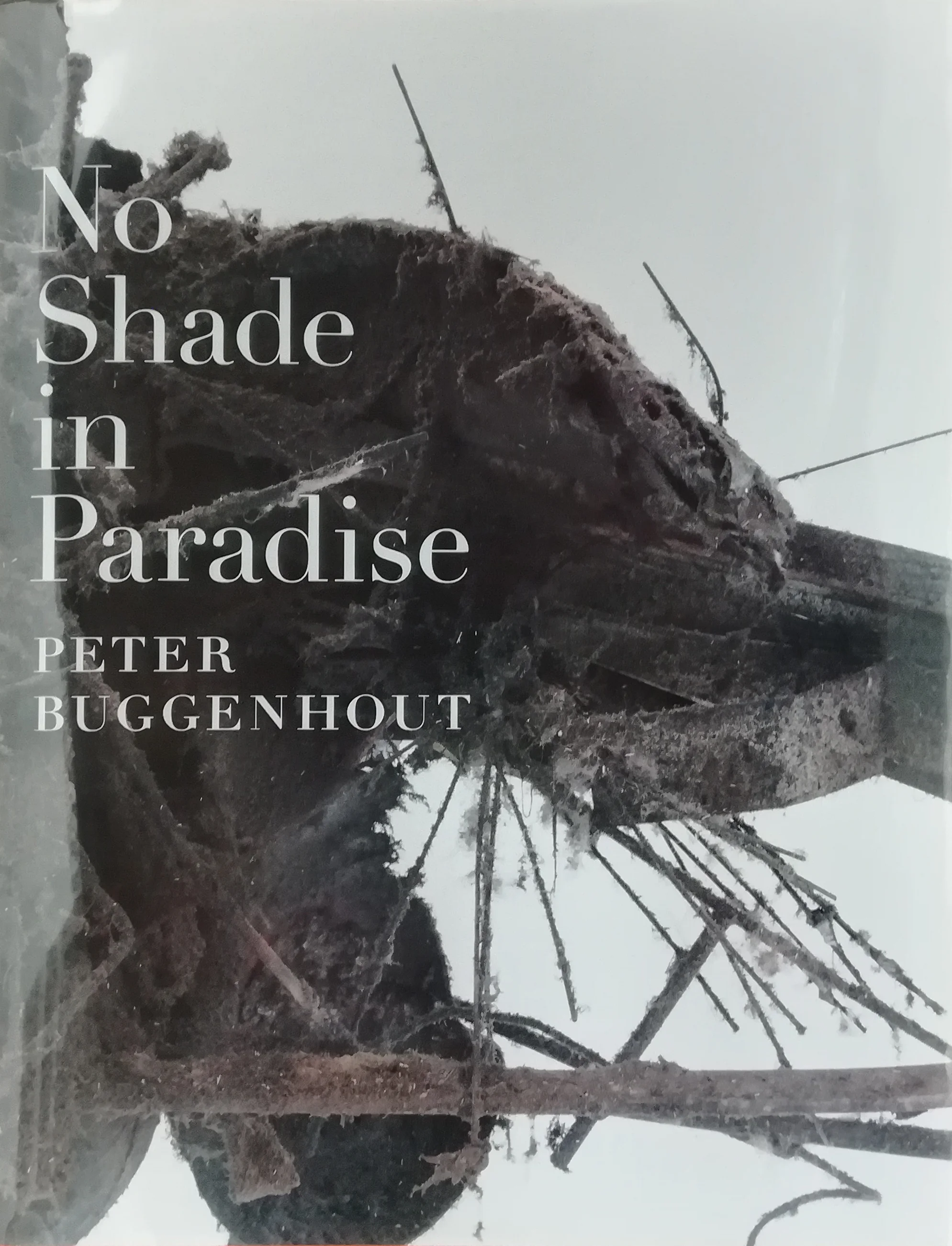 Peter Buggenhout, No Shade in Paradise