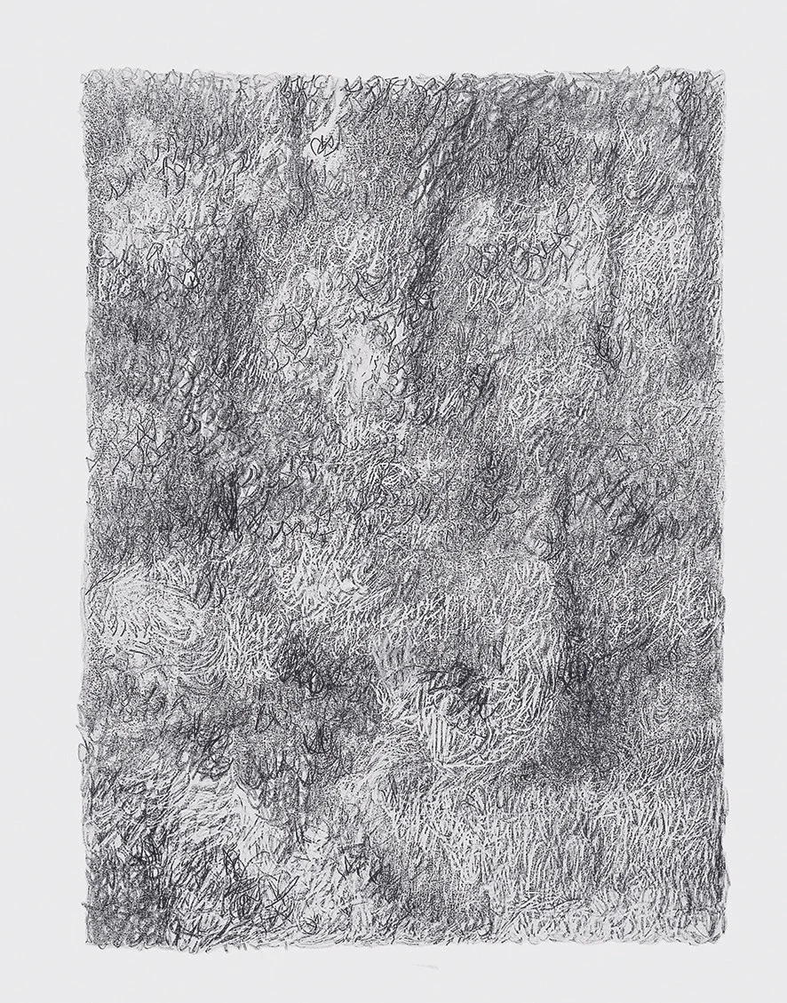 Marc Couturier, Les dessins du troisième jour, 1991-92, collection Fondation Cartier