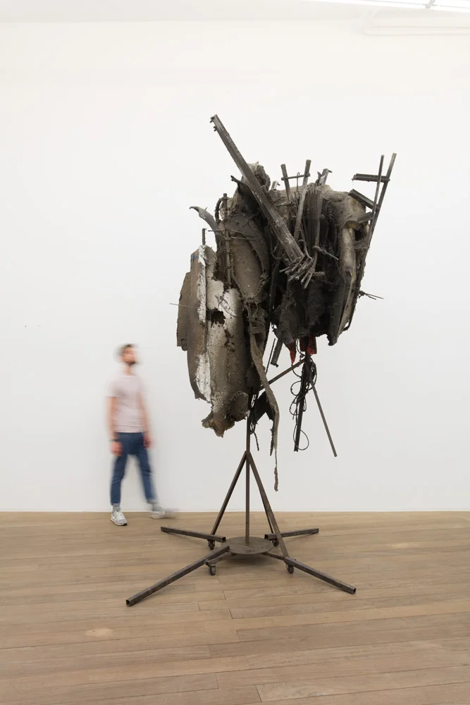 Pas éléphant, 2017