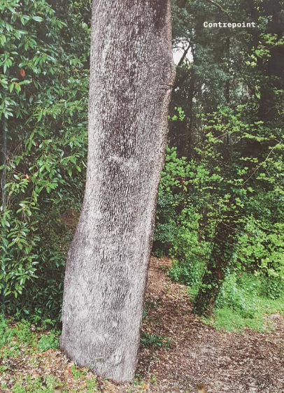 Capture d’écran 2019-09-26 à 13.24.07.png
