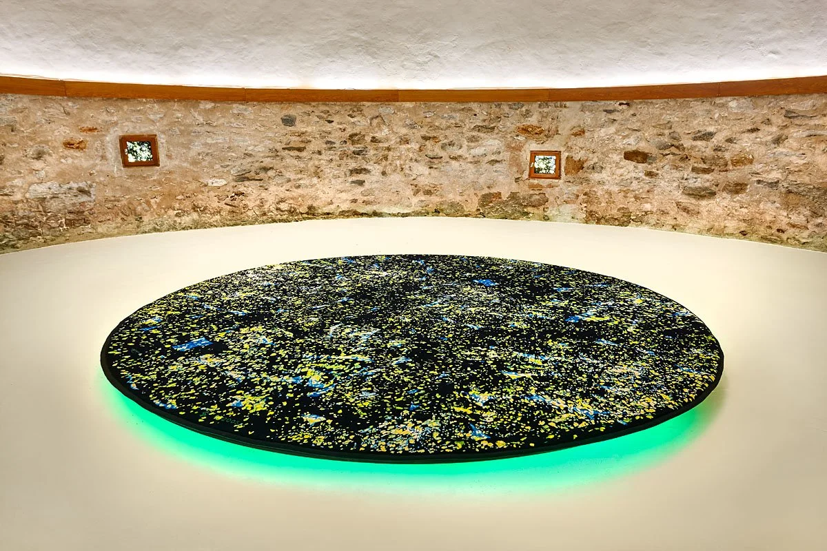 "Aucuba", Fort Sainte Agathe et Villa Carmignac, île de Porquerolles, 2020