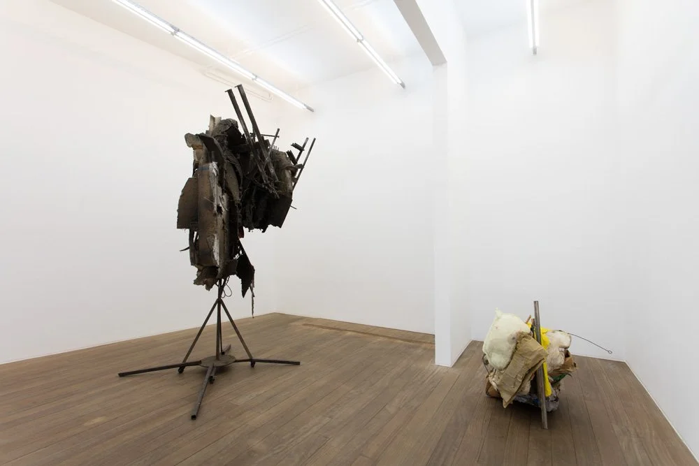 Pas éléphant, Galerie Laurent Godin, 2017