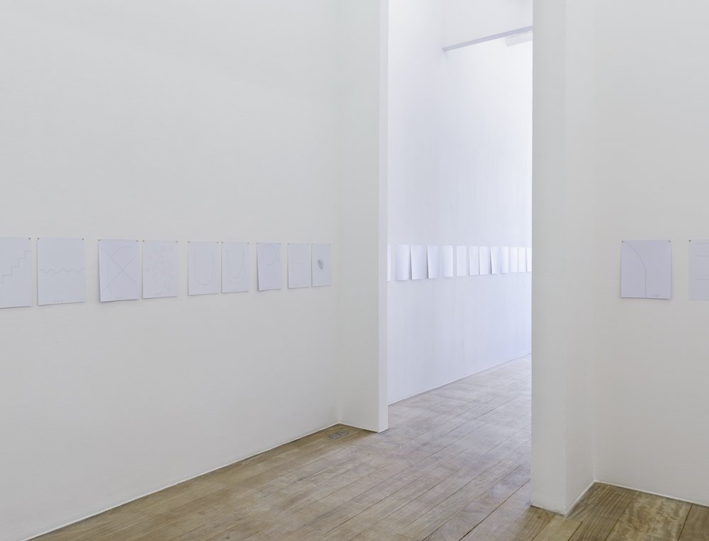 "Diplopie", Galerie Laurent Godin, 2013