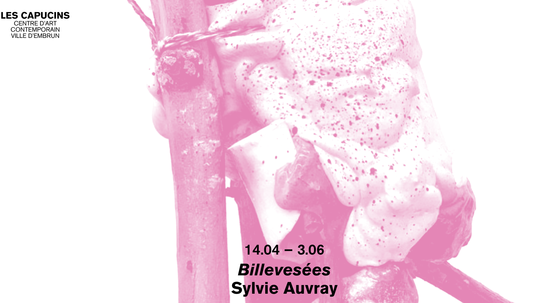 SYLVIE AUVRAY - "Billevesées", Les Capucins, Centre d'art contemporain Ville d'Embrun, France