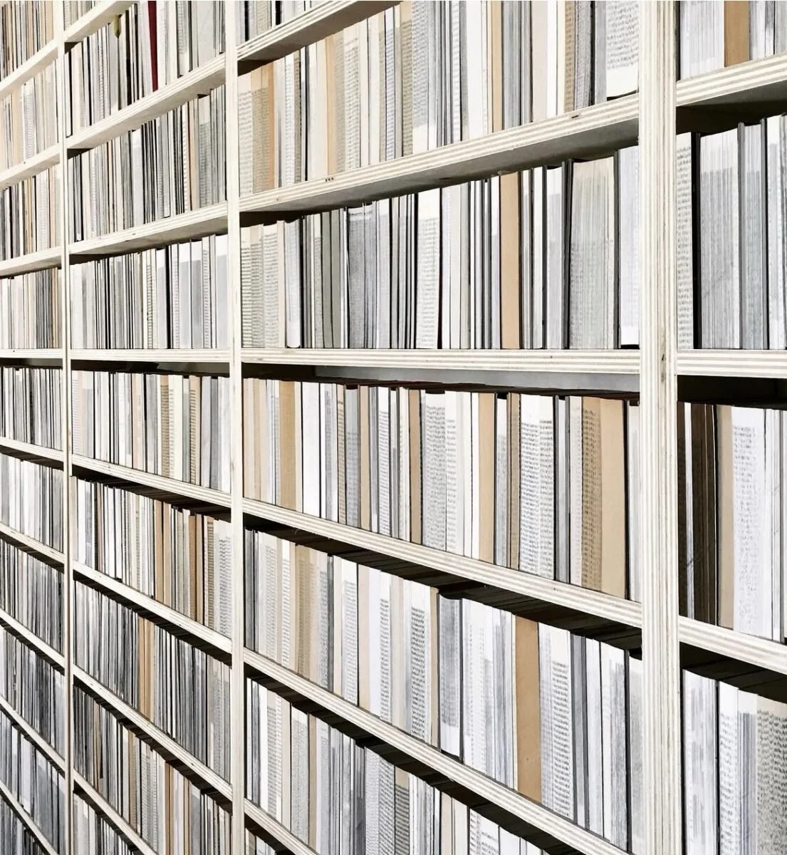 MICHEL DECTOR, École supérieure d'arts et médias, Caen, France