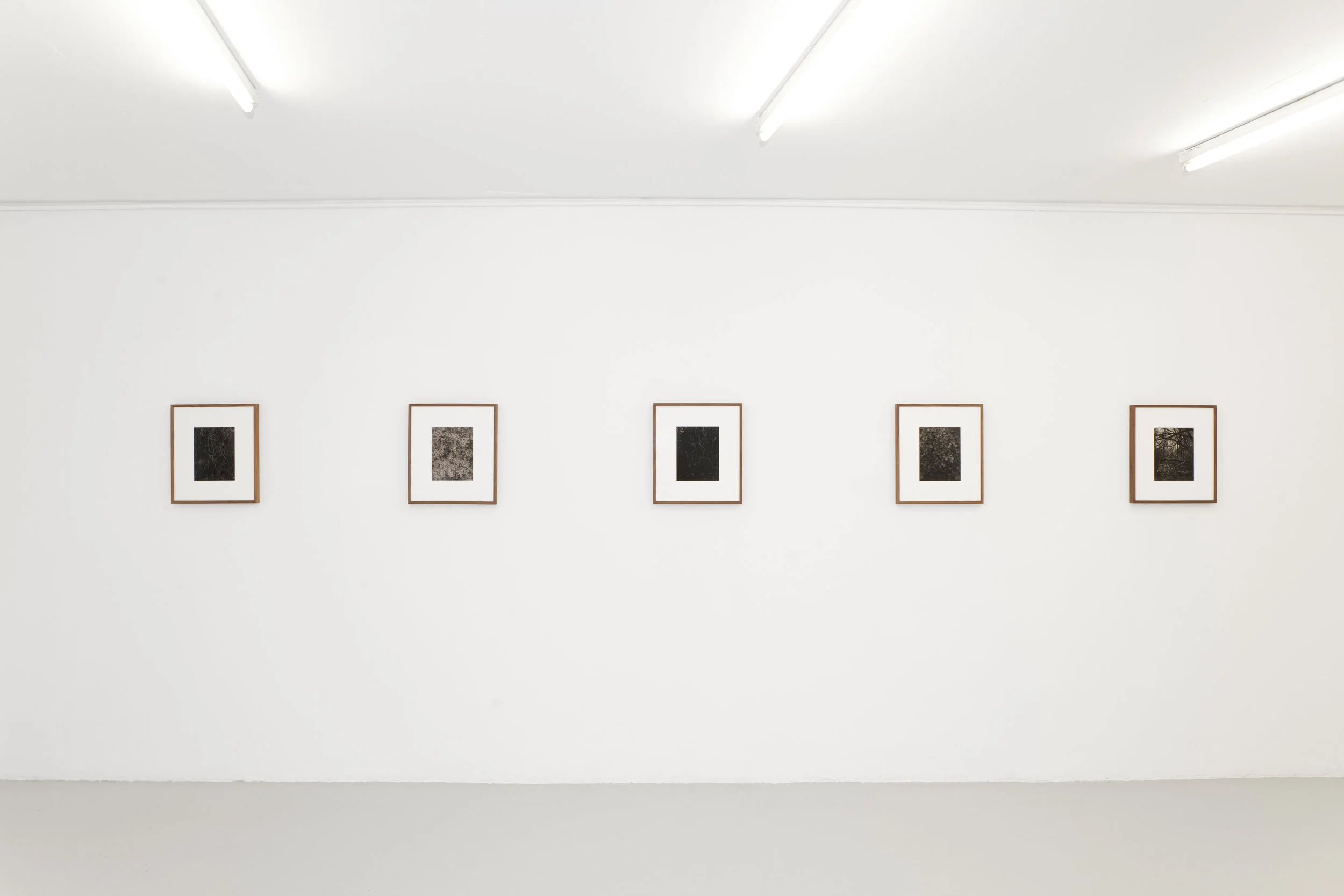 After dark, Galerie Laurent Godin, Paris, 2015