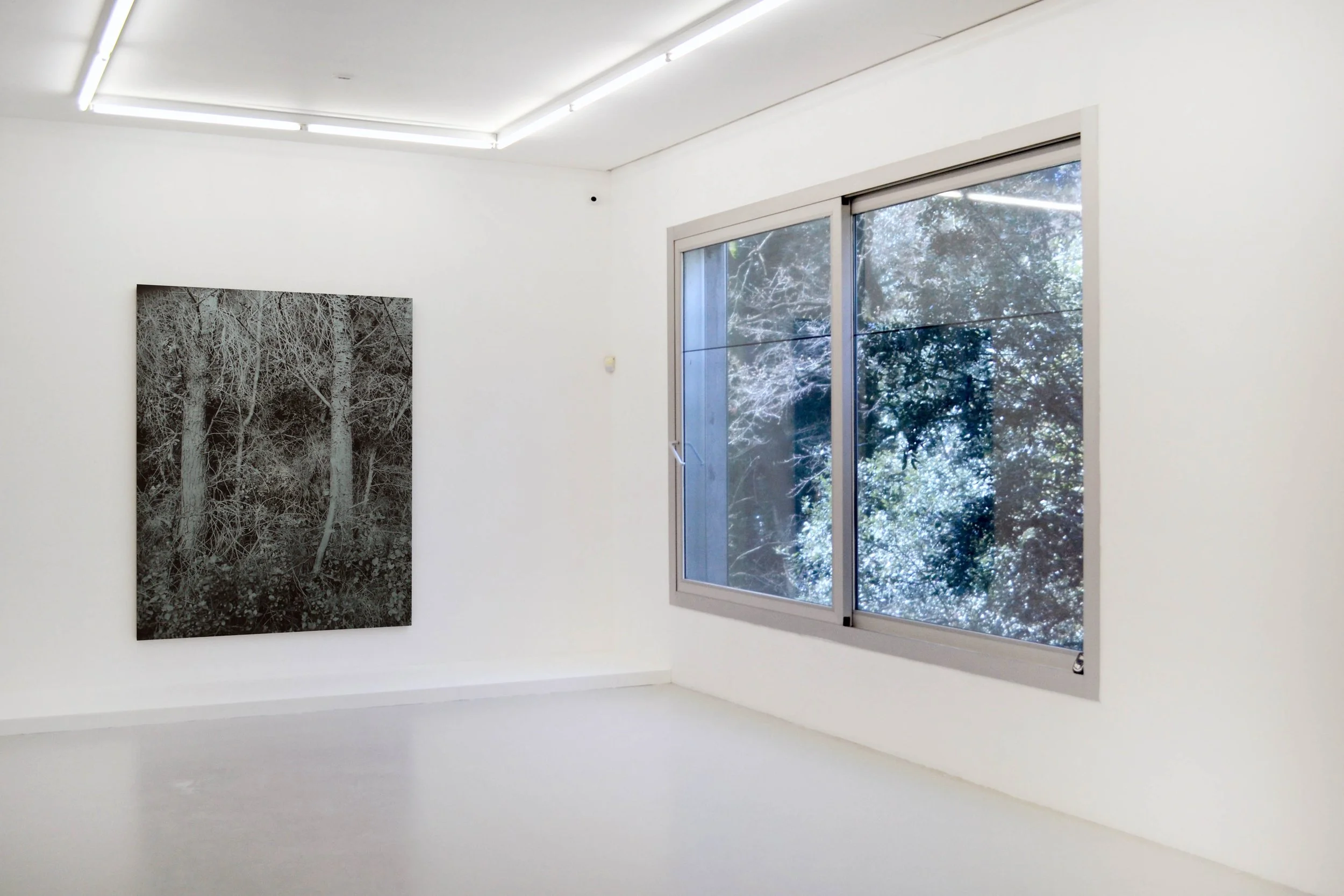 06 expo eac. Traquandi.jpg