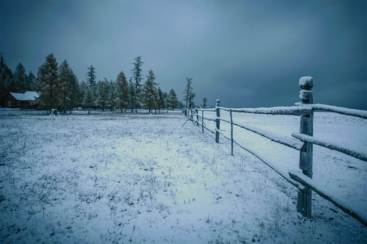 fence4.gif