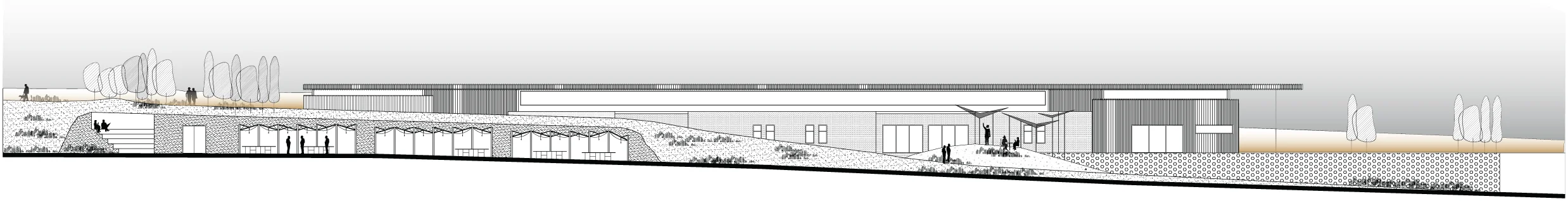 beersheva1.jpg
