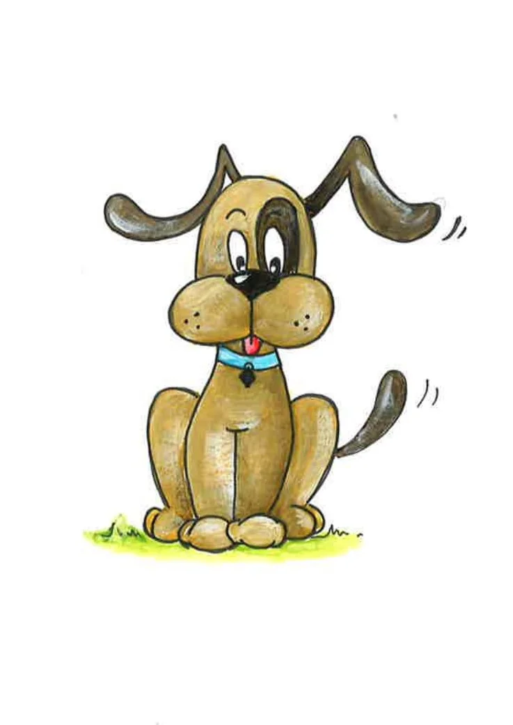 Hond pediatrie-1 (2).jpg