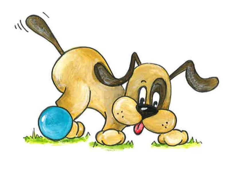 Hond+pediatrie-1+%283%29.jpg