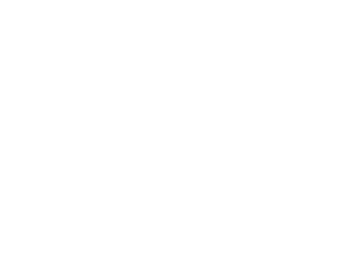 THE RHYTHM TRAVELLERS