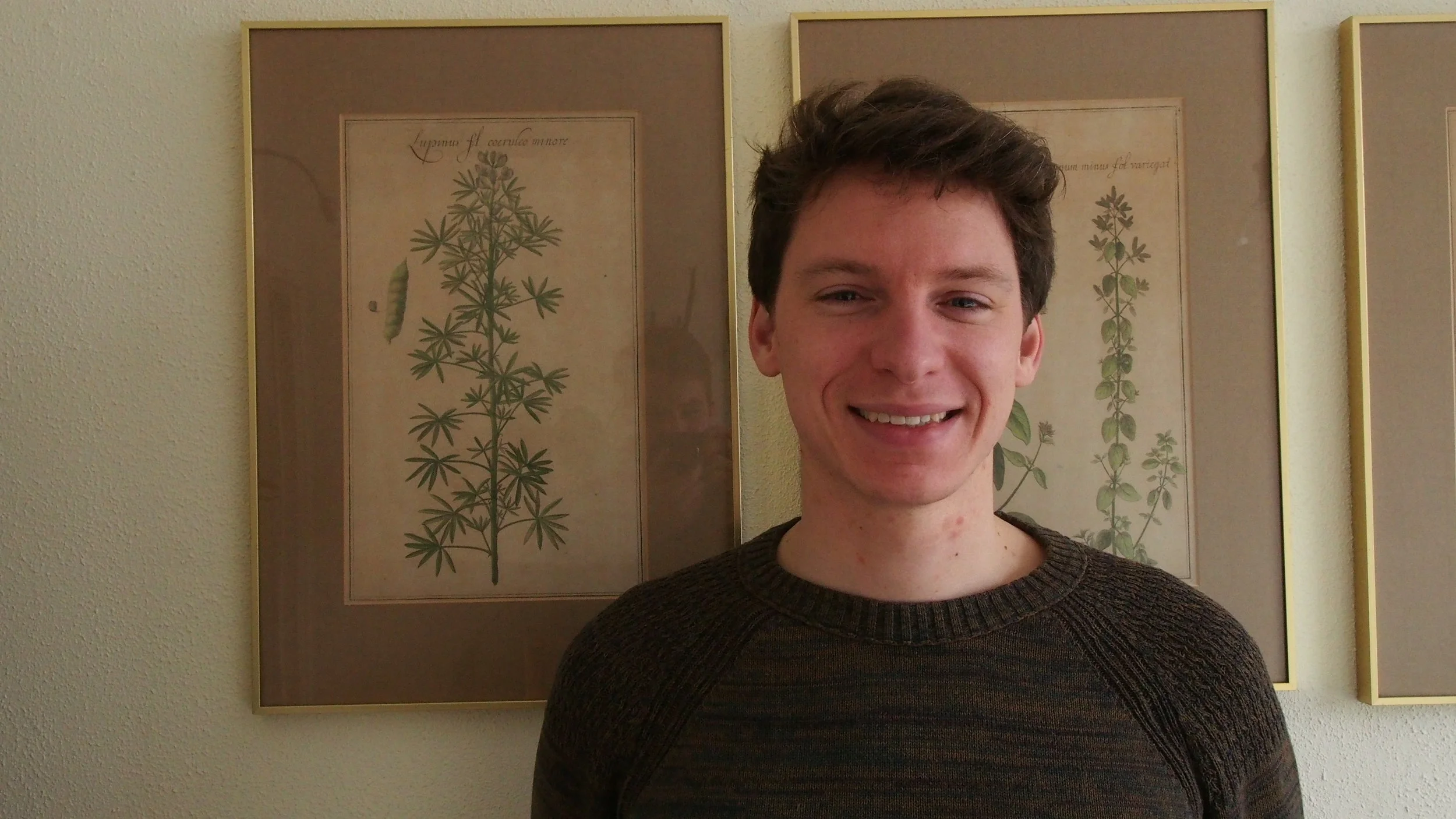 Martin versterkt Dactylis!