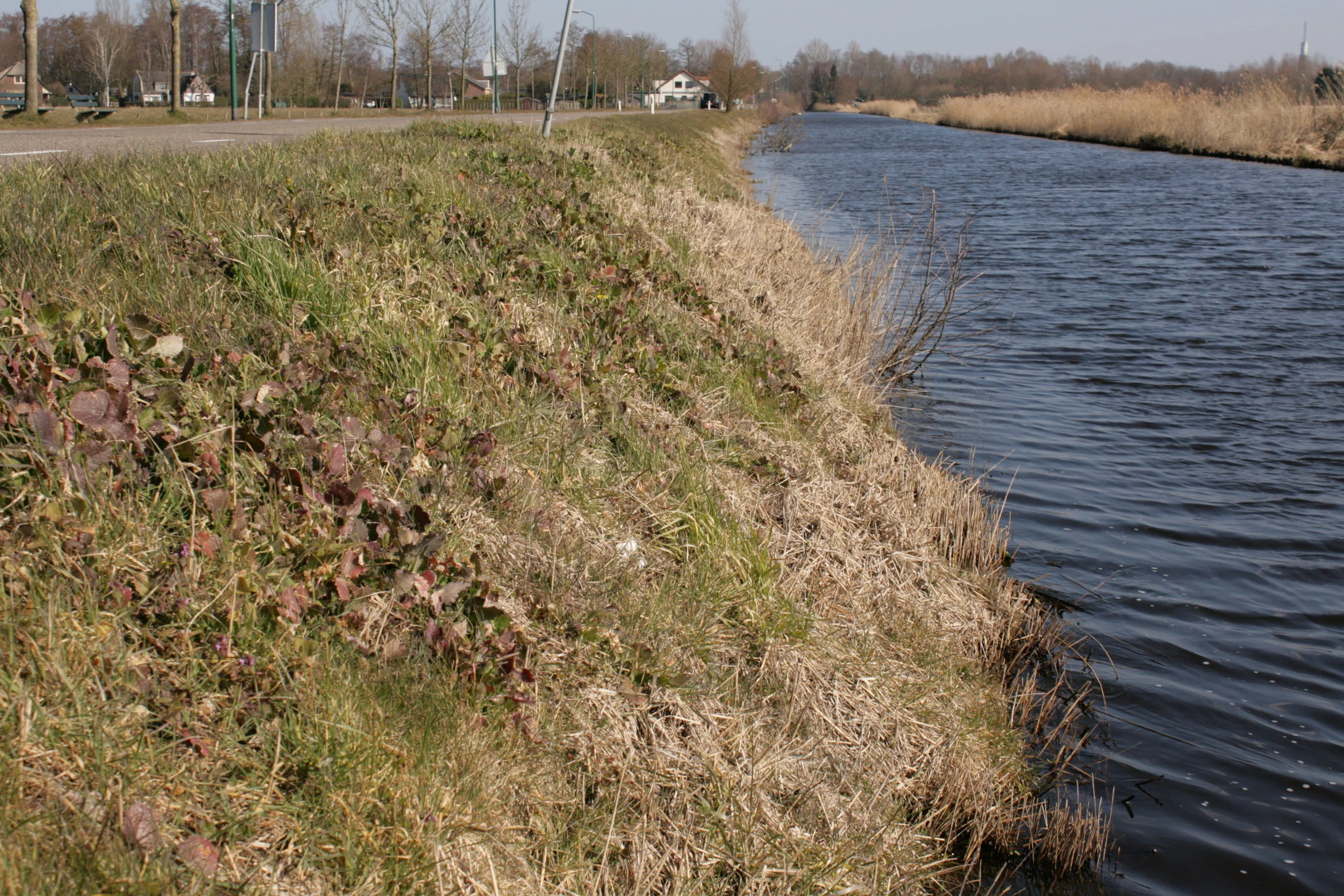 Uitvoering quickscan te Loosdrecht