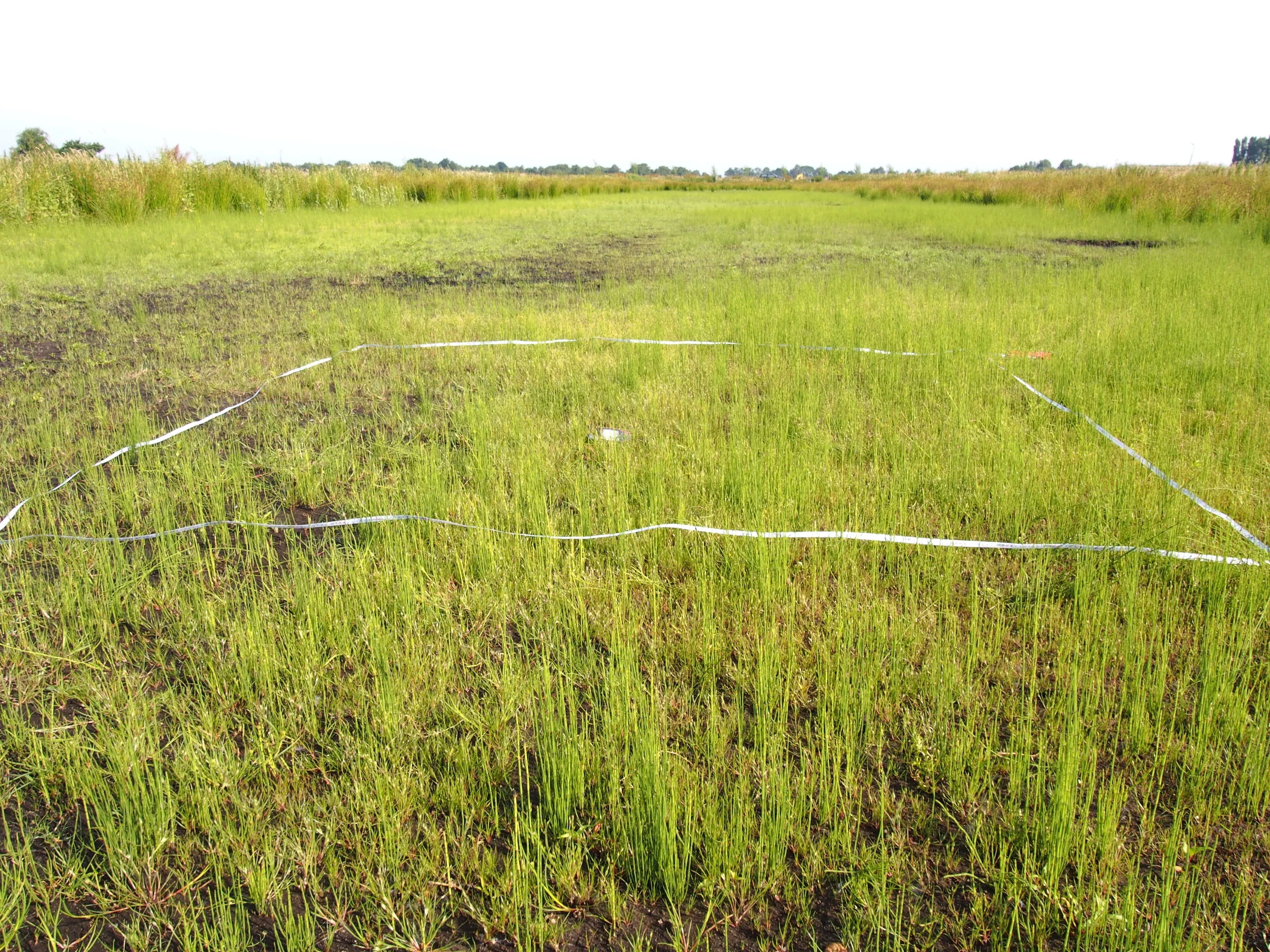 Inventarisaties in de Bethunepolder