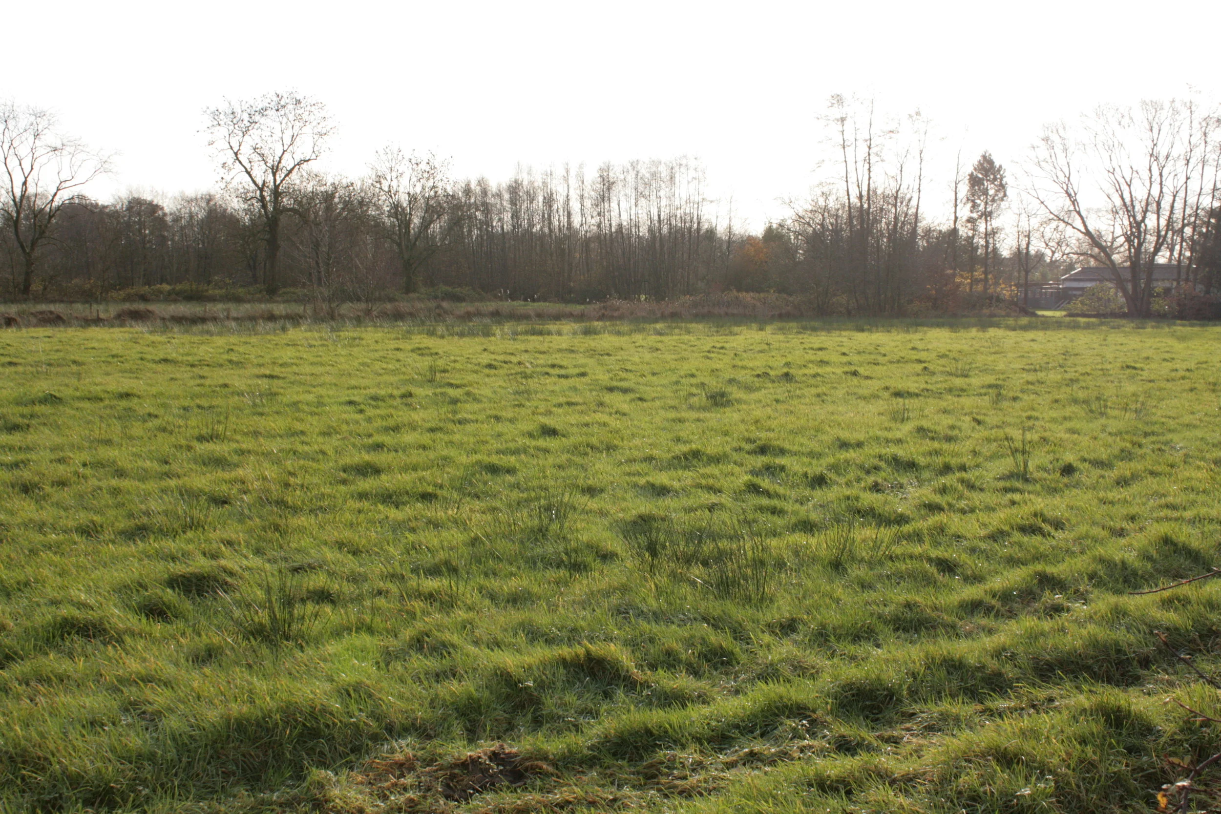 Basis graslandvisie IJsselvallei