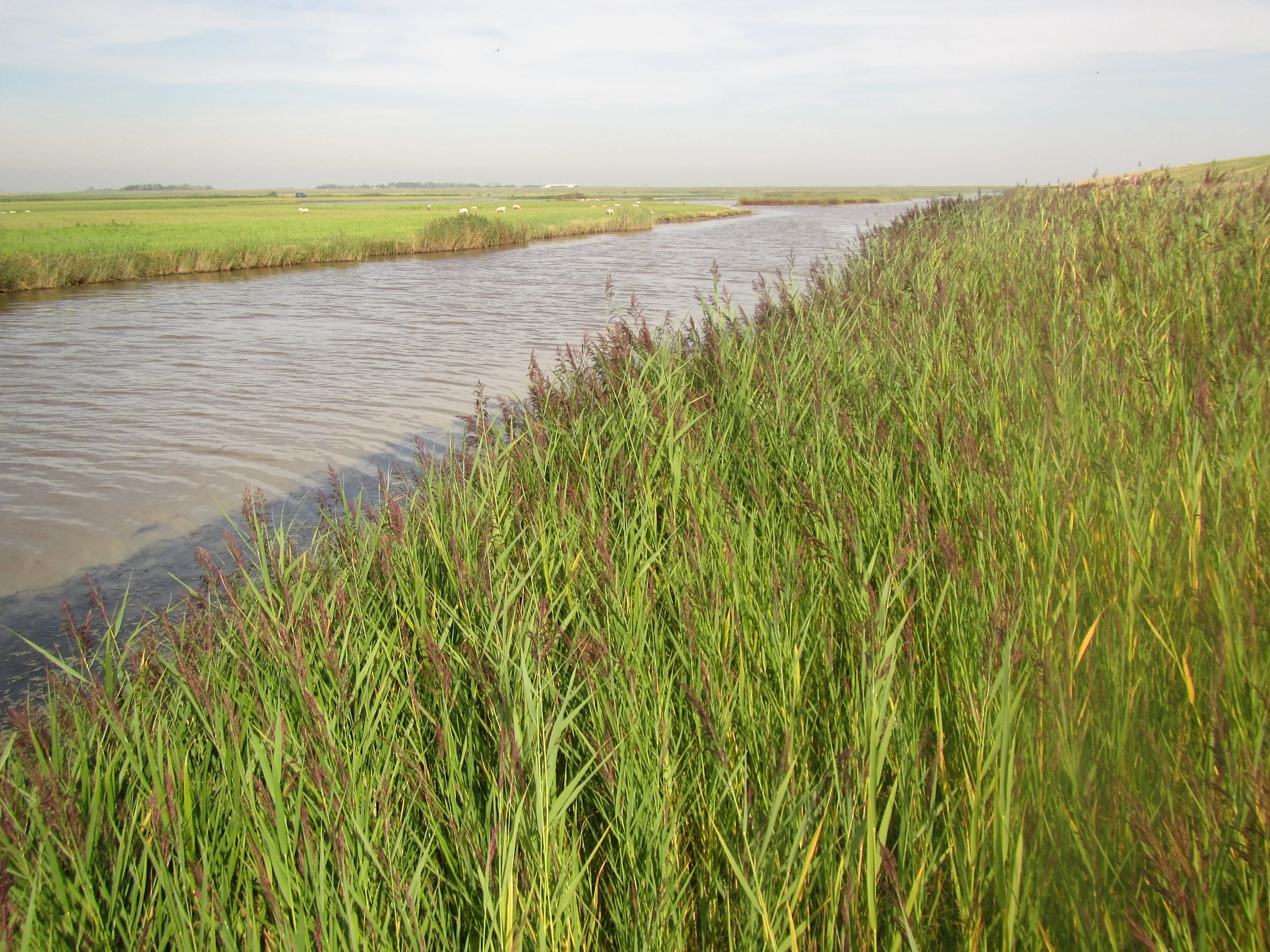 KRW-maatregelen in beeld en op kosten voor HHNK