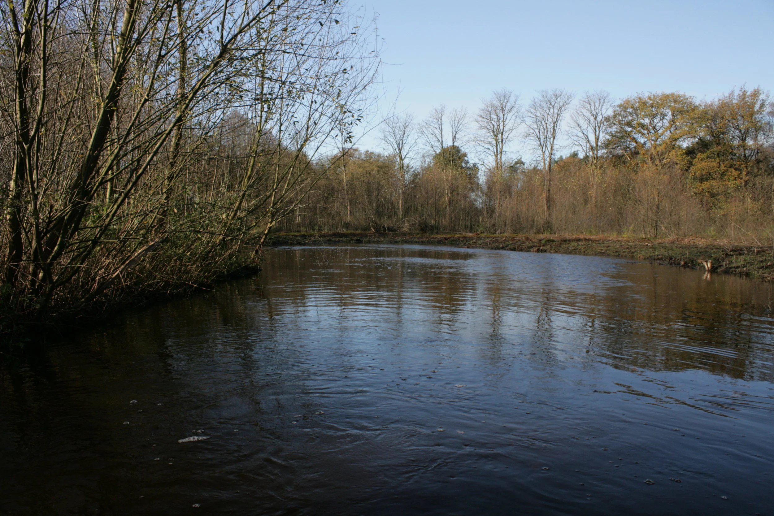  Vegetatieopnames bij beekherstelproject