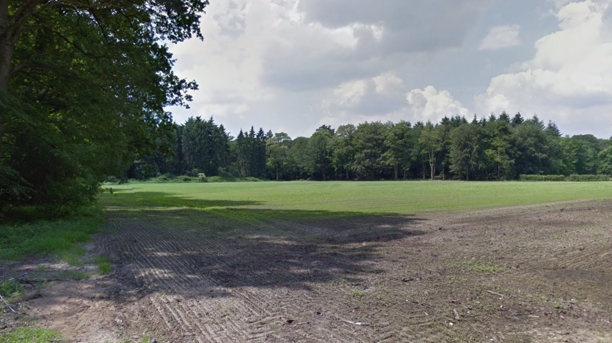 Florakartering in De Bijvanck