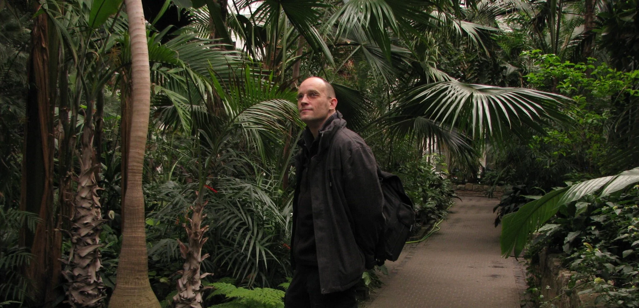 Fierman Baarspul versterkt Dactylis!