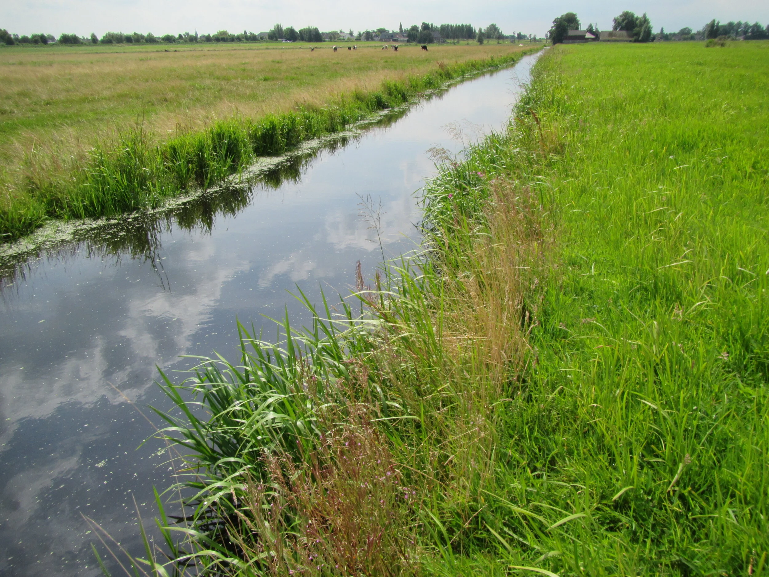 Data-analyse overig water Hoogheemraadschap van Rijnland