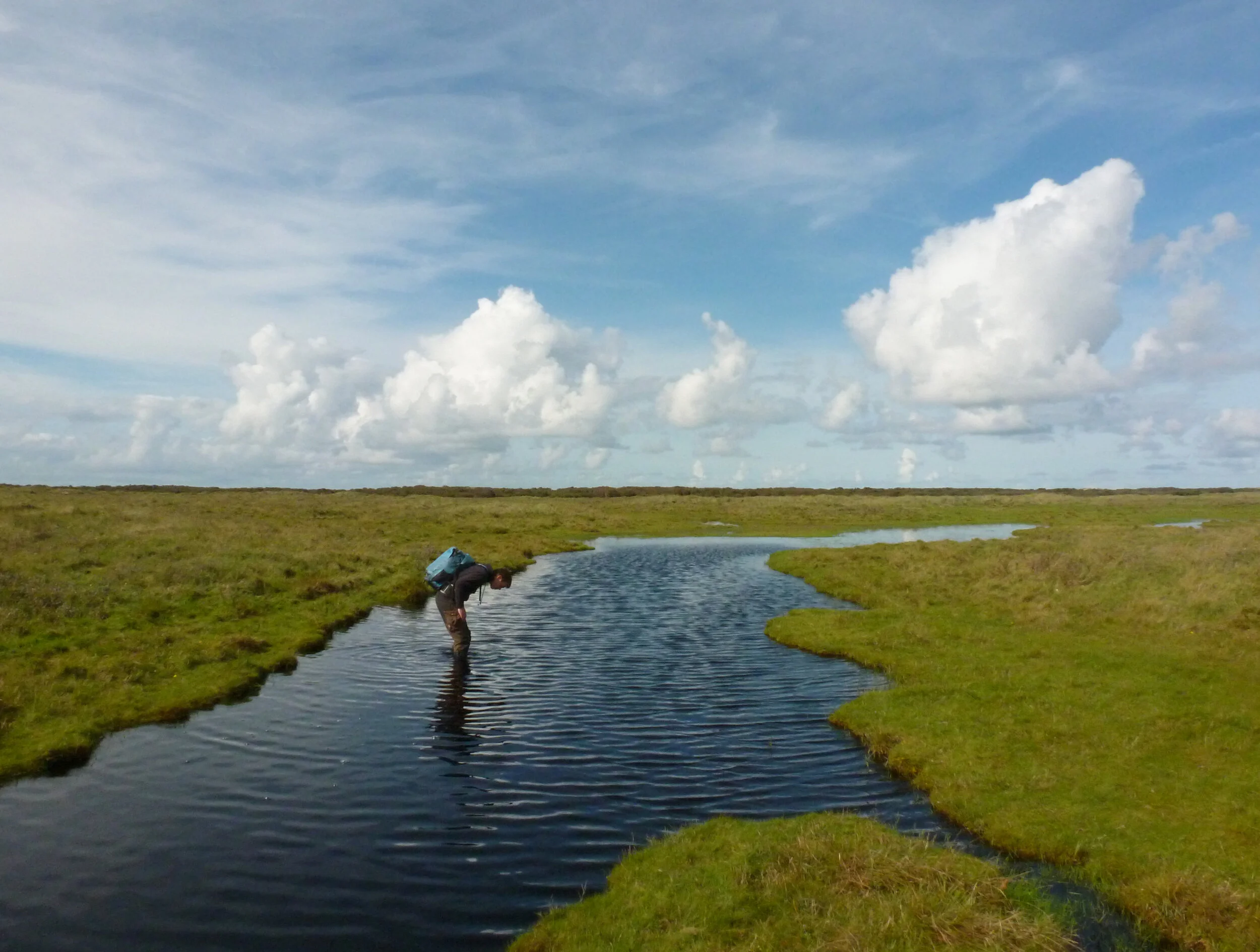 Vacature vegetatiekundige