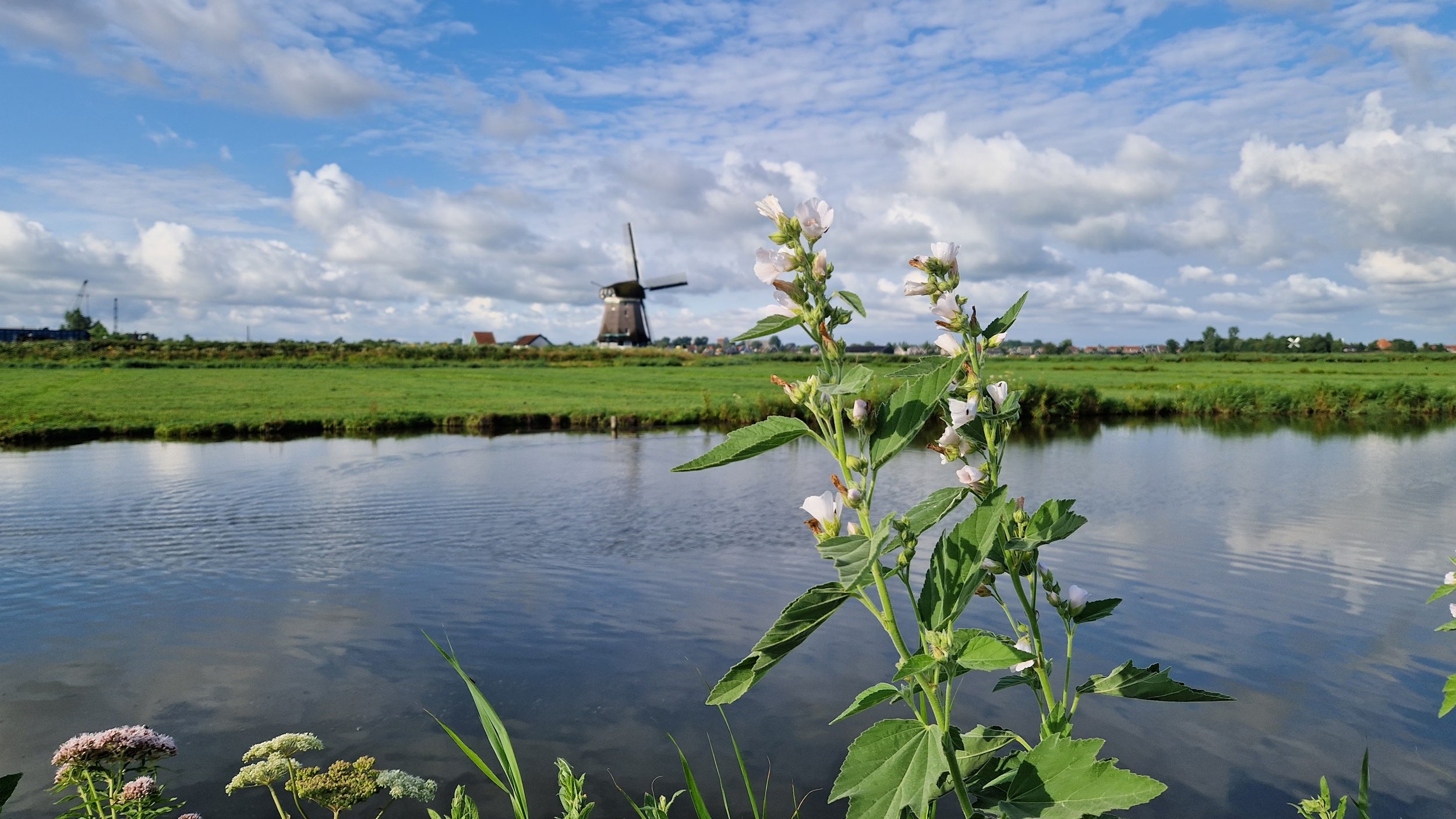 Overzicht karteringen Staatsbosbeheer 2025